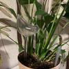 15-3PCS Automatic Plant Watering Bulb PVC Transparent Waterer Self Watering Bulbs Home Garden Plant Dropper Drip Irrigation