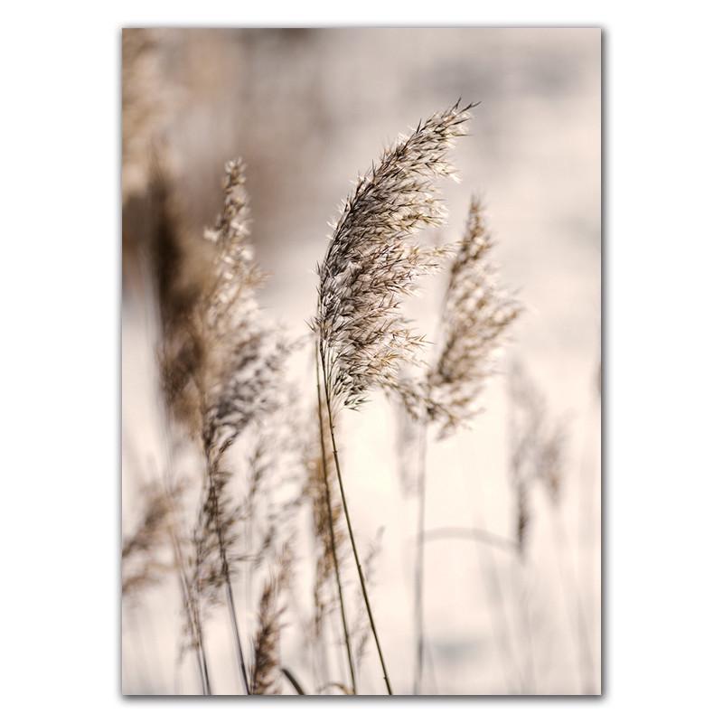 

Красивая Девушка Пейзаж Художественная Живопись Скандинавская Природа Растения Плакат Украшение Комнаты Пампасы Трава Картина Настенный Декор HD0147 50x70cm no frame