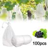 100pcs Strawberry Grapes Fruit Grow Bags Netting Mesh Agriculture Plant Tools Bags Protection Garden Anti-Bird Vegetable Z3A4
