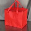 Sac fourre-tout isotherme de 35 L, grande capacité, avec fermeture éclair et large sangle, idéal pour la plage, la pêche et la randonnée.