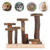 Hamster Exercise Toy Ladder Applewood Hamster Stairs Step Play Teeth Grinding Pet Supplies