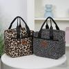 Thickened Nylon Fabric Lunch Bag with Aluminum Foil Inner Large Capacity Portable Lunch Box Storage Bag for Work Picnic Scho