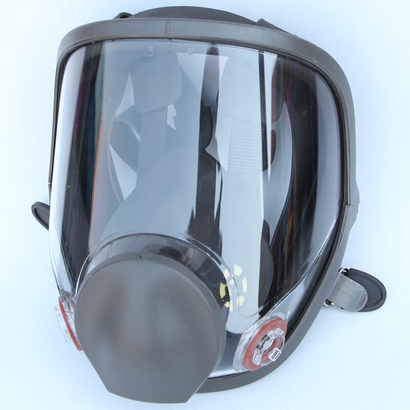 

Langmei Qifang Full Face Respirator