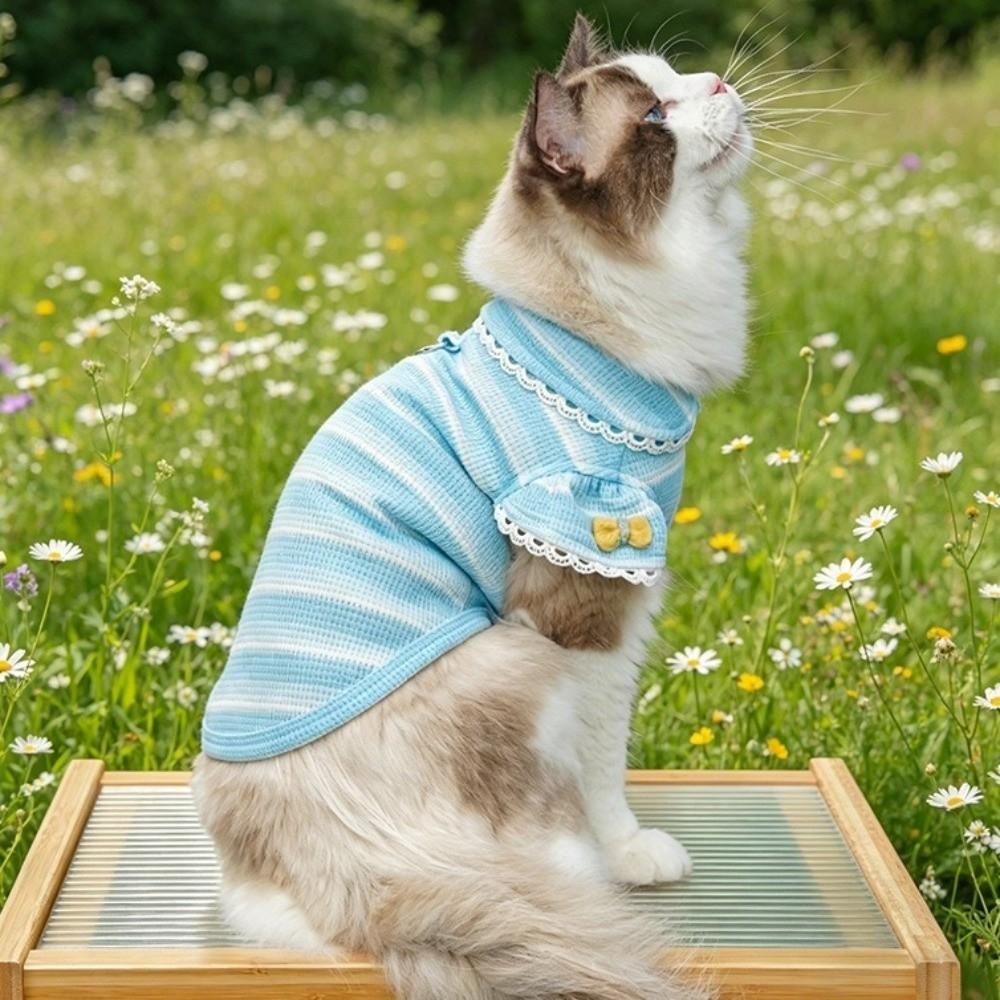 Stripe Design Dog Lace Knit Vest Ruffle Sleeves Dog T-Shirt Cute Pet Hoodie Daily Wear