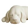 3D Printed Sleeping Dog Figurines, White Lying Puppy Ornaments, Realistic Puppy Statue Decorations, Minimalist Desktop Decor for Office Home Cute