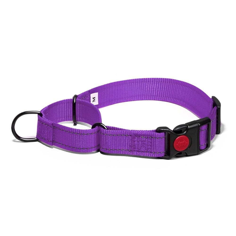 Adjustable Pet Dog Collars Safety Lock On Nylon Golden Retriever Neck Leash Accessories Outdoor 2 in 1 P Chain Pet Supplies