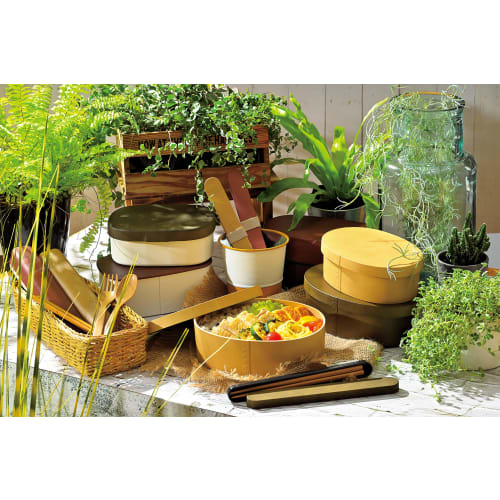 Tatsumiya Garten 18,0 cm Wappa Essstäbchen-Box Set, Sandbeige, Größe: Ca.. B19,5cm, T2,4cm, H1,2cm (Essstäbchen: Ca.. 18cm) 33369
