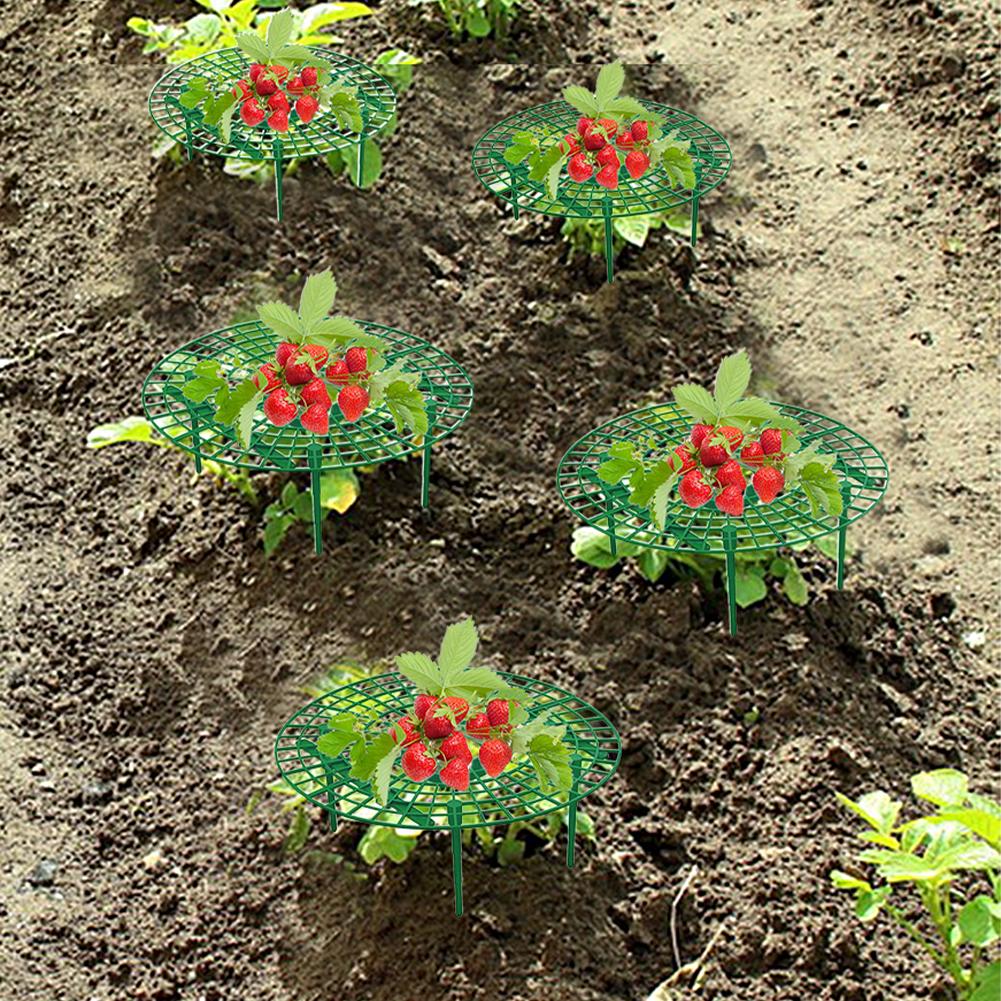 5PCS Strawberry Supports with 4 Sturdy Legs Garden Plants Fruit Stand Strawberry Growing Racks Plant Support Garden Accsesories