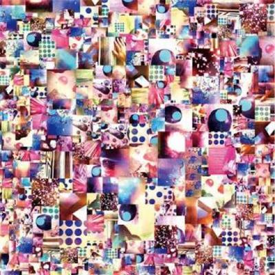 CD VARIOUS  Conglomerates A New Zeland Music C WNCD010 Wonderful Noise 2014 Japan Dance  Electronica