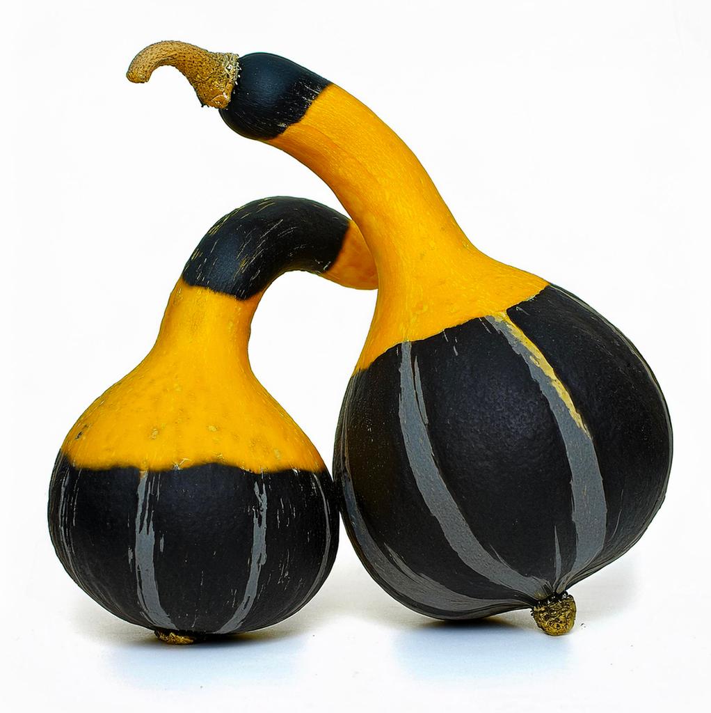 20 Koshare Pumpkin Seeds - SemiWild Permaculture