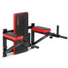 Ns-320 Wandmontierte Dip-Stange