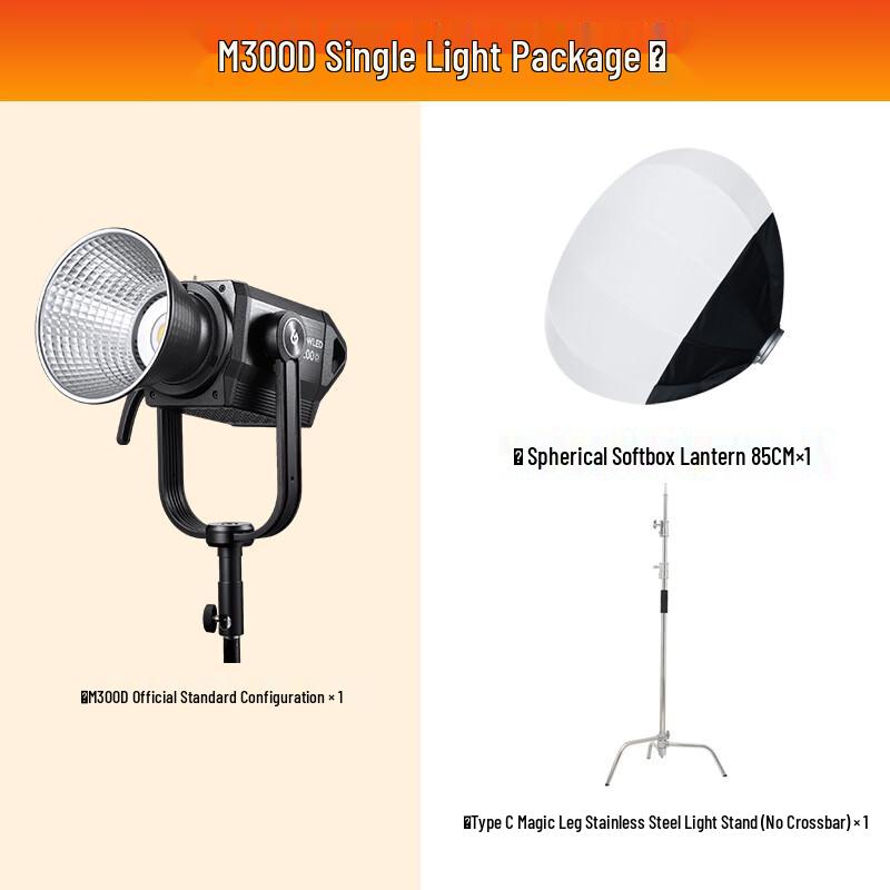 Godox M300D LED Continuous Fill Light Kit