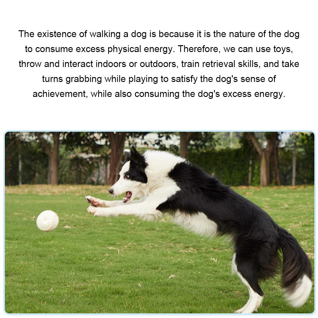 Non-Toxic Latex Dog Toy Interactive And Durable Rubber Ball For Engaging Play Safe Non-Toxic Latex