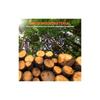 NOLITOY Wooden Balls, 9cm Diameter, Set of 2. Made from solid wood. Perfect for crafts, woodworking, DIY projects, tole painting, decorations,