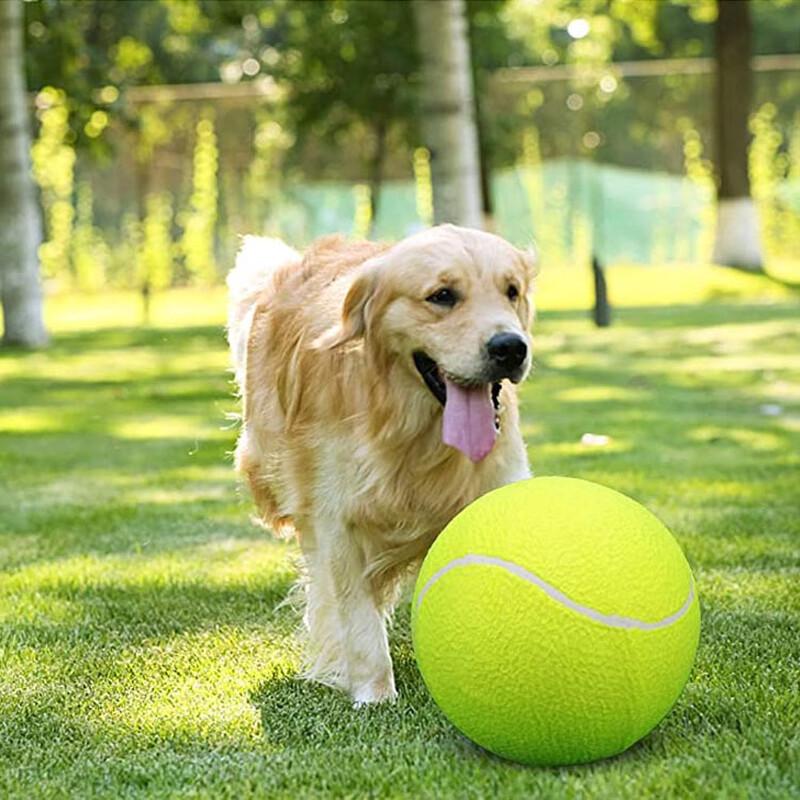9.5-inch Inflatable Tennis Ball