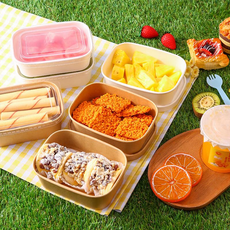 Ally Disposable Picnic & Meal Prep Containers