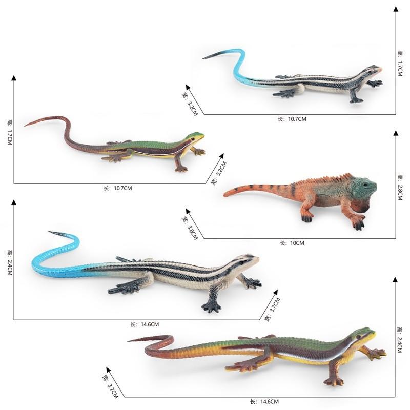 Vibrant Colorful Lifelike Plastic Lizard Model Ideal For Creative Home Decoration And Collectibles