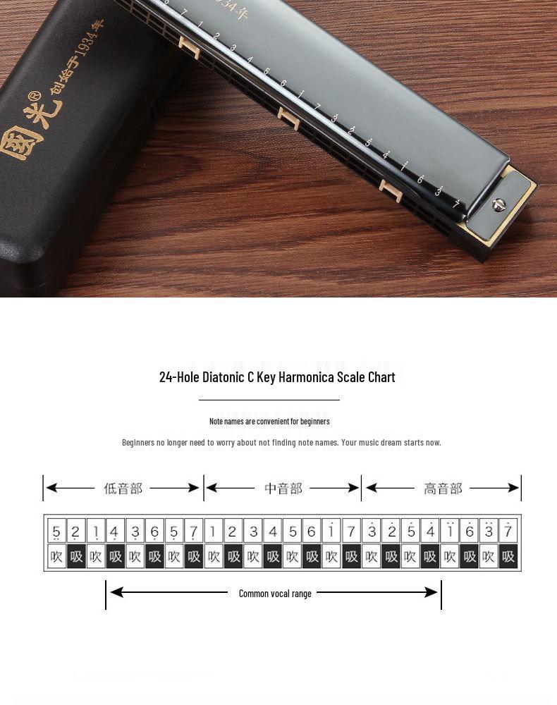Beginner 24-Hole Double Reed C Key Harmonica for Adults and Children - Ideal Self-Study Gift