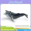 Collection de Figurines en PVC d'Animaux Marins Avec des Répliques Détaillées de Baleine et de Dauphin Pour l'Apprentissage des Enfants