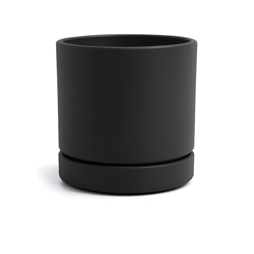 

Greenship Flower Pot with Saucer, Size 5 (15.8cm), Stylish Matte Texture, Eco-Friendly Material, White-Gray (Black, Size 5)