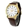 Standard Quartz Men's Watch MTP-V004GL-7A Silver