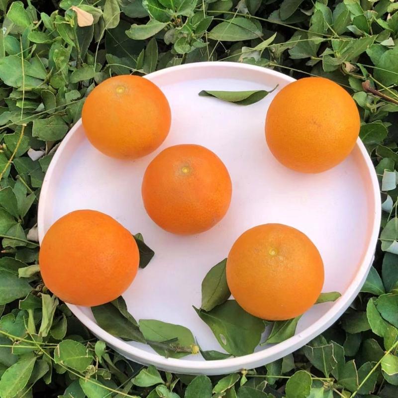 Irregular Saucer Shape Mould Square Cups Tray Casting Mould Durable Resin Molds for Unique Ornaments Silicone Molds