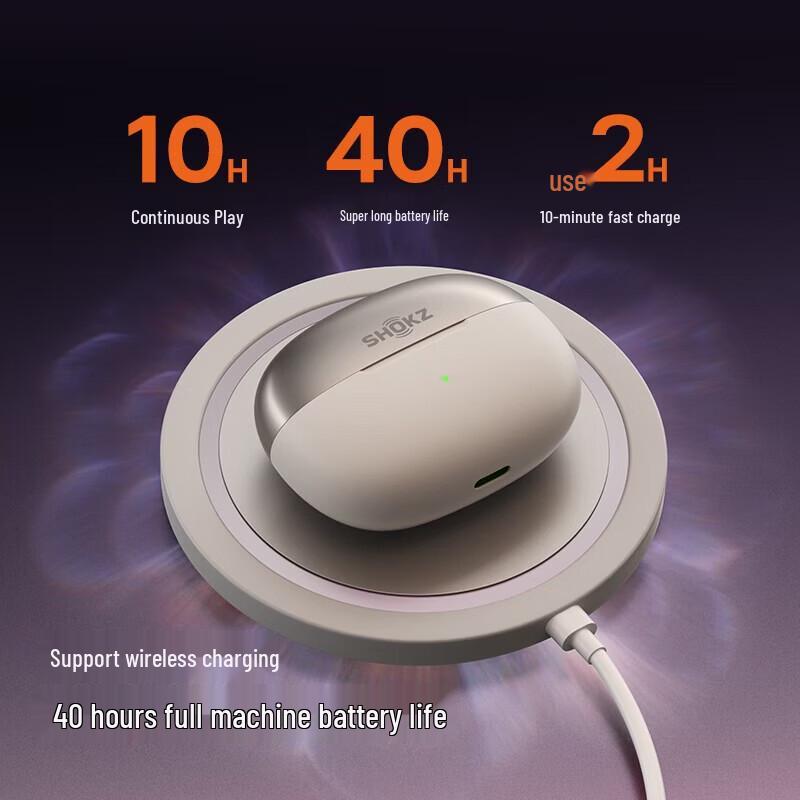 Shokz OpenDots ONE E310 Ear-Clip Wireless Bluetooth Earbuds