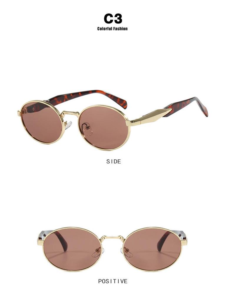 2024 Trendy Oval Metal Sunglasses - Retro Street Style for Women