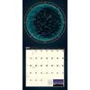 A Year of the Night Sky Wall Calendar 2026 Monthly, January-December 12'' x 12"