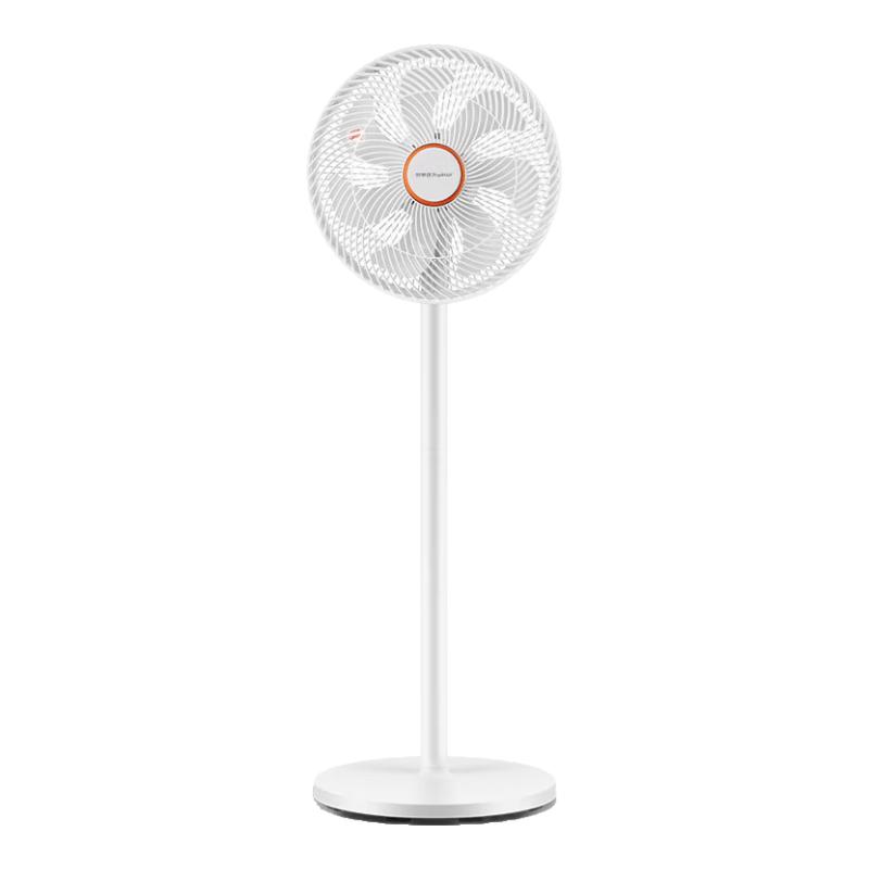 Royalstar 7-Blade Fixed Frequency Desk & Floor Fan