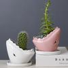 Creative Shark Ceramic Succulent Planter with Tray - Unique Animal Shape Flower Pot for Cactus/Bonsai/Indoor Plants - H