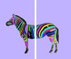 GLASS CUTTING BOARD 2x 30x52 ZEBRA