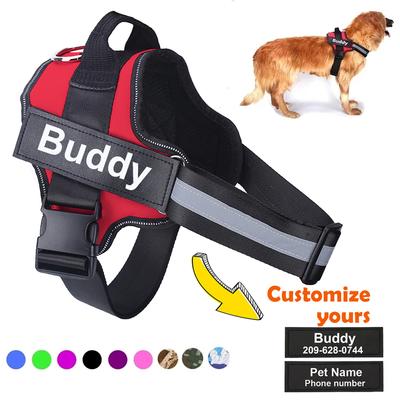 Pettorina Personalizzata per Cani ANTITRAZIONE Riflettente Traspirante Gilet Pettorina per Animali Domestici per Cani Piccoli Grandi Accessori per Addestramento Passeggio all'aperto
