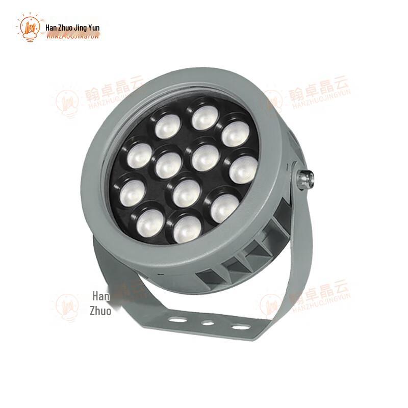 Hanzhuo Jingyun Outdoor Waterproof Landscape Tree Floodlight