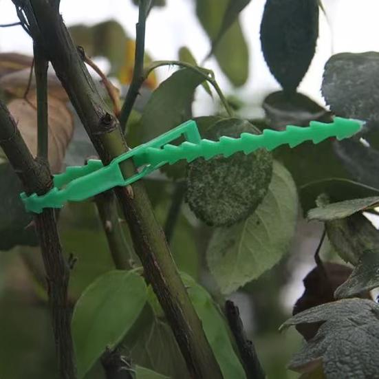 Regulowane opaski do roślin Wielofunkcyjne Elastyczne Plastikowe Opaski zaciskowe Opaski do zarządzania kablami Ogrodowe Opaski wspierające rośliny dla pnączy Krzewów