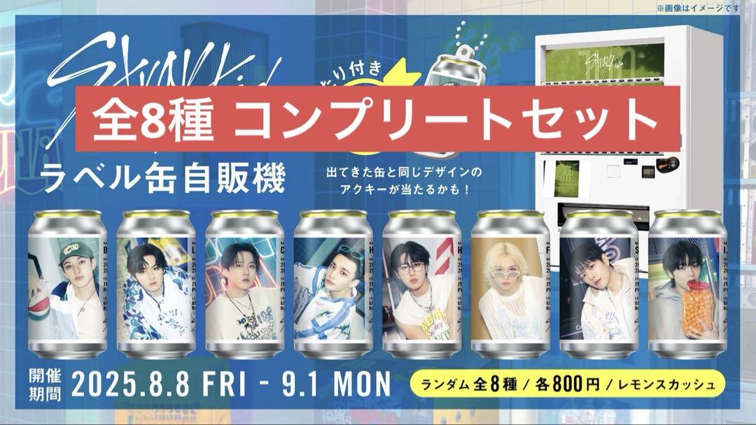 

[USED] straykids label complete set