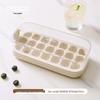 Press-Type Ice Cube Maker & Storage Box