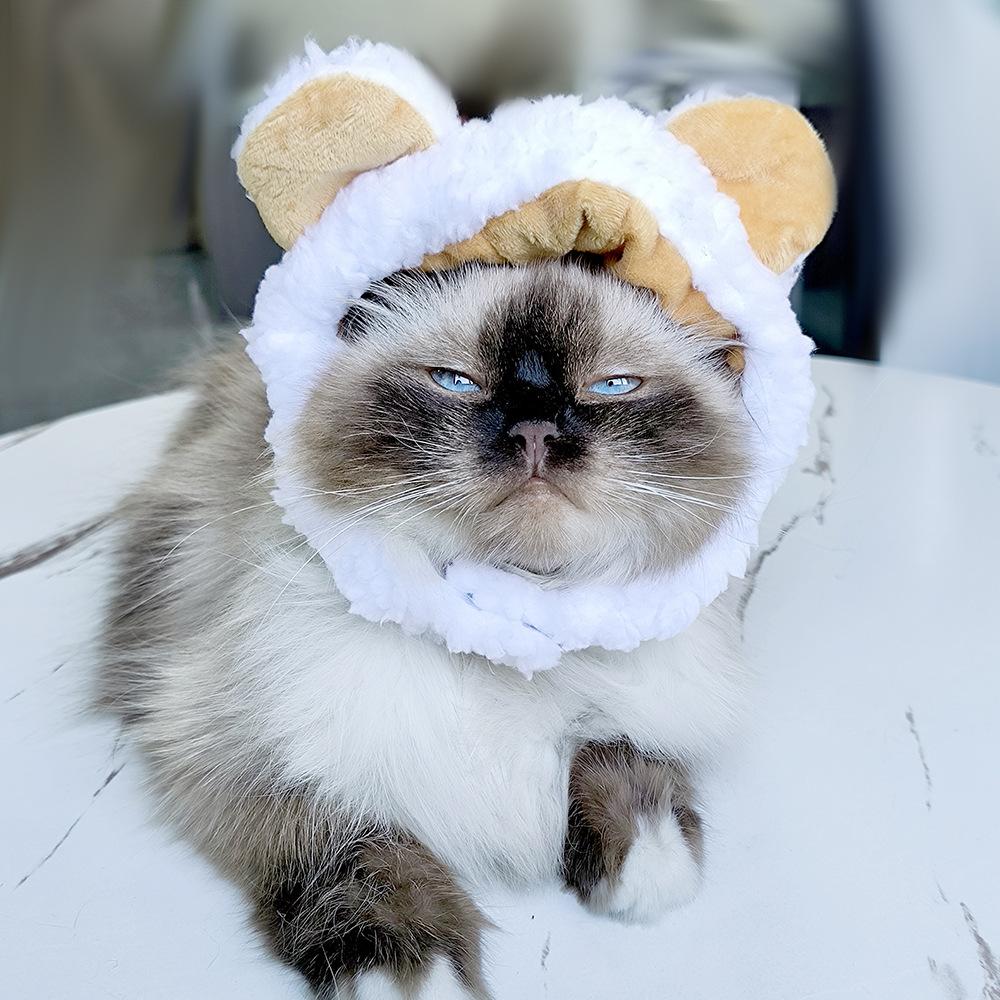 Pet Hood Cute Dog Teddy Dress Up Sunflower Cat Headgear Wig Cat Hat