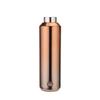 Starbucks Lucky Gold Badge Insulated Tumbler 591ml