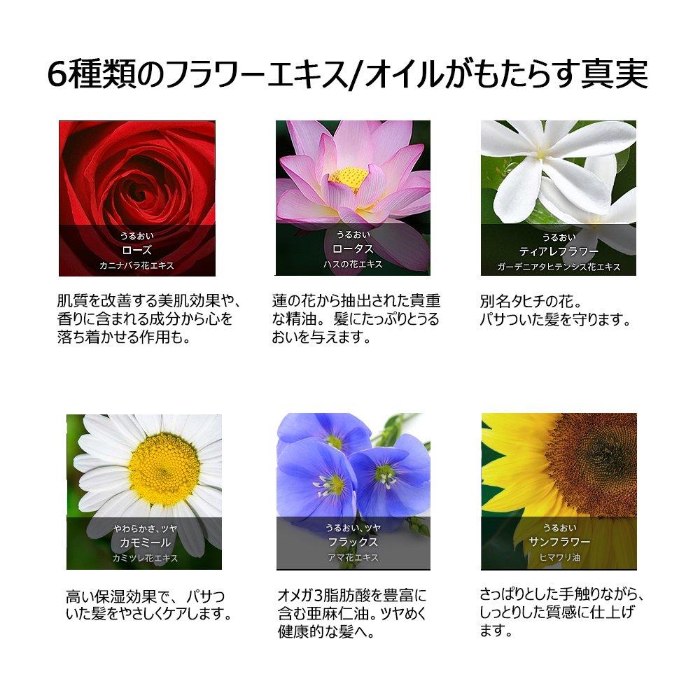 Paris Elseve Hair Cream La Rich Finish Hair and 100g L'Oréal Crème (non-rinse Treatment) (soft Moisturizing)