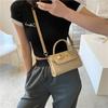 Chic Urban Simple Style Soft Leather Small Handbag For Women Trendy Shoulder Bag