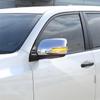 Smoked For Toyota Land Cruiser 200 J200 GR/UR/UZ/VD Prado J150 KD/TR/GR/GD Led Flowing Side Mirror Blinkers Turn Signal Lights