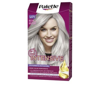 PALETTE INTENSIVE Hair Dye #U71-silvery Grey