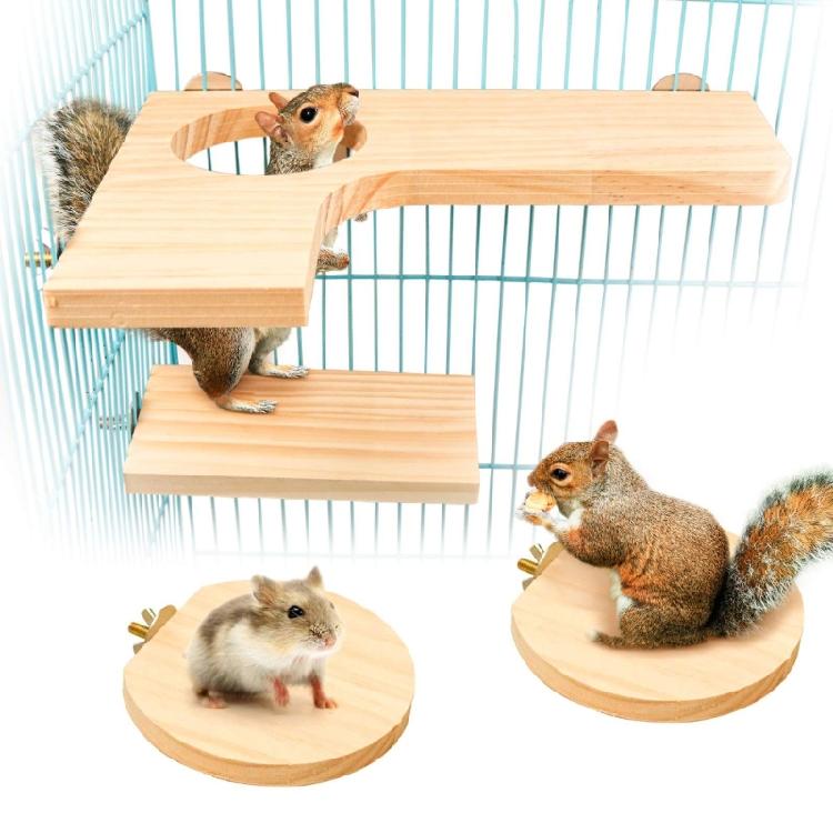 Hamster Platform For Cage Hamster Playground  Hamster Wooden Platform And Stairs