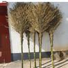 GZCC Heavy-Duty Outdoor Sanitation Brooms