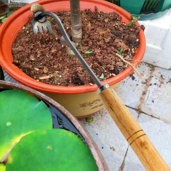 Weed Puller with Long Handle Rust Proof Steel Weeding Tool Hand Weeder Uprooting Tool for Garden Weed Removal In Narrow Spaces