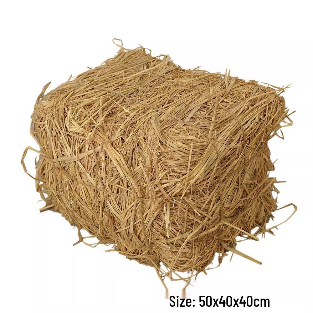 Porcelain Hen and Rooster Feather Ornament for Display and Photography Prop