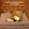 New Chicken Nest Pads, Chicken Nest Pads, Coconut Brown Pads, Poultry Pet Nests, Easy to Clean, Hen Nest Pads, Pet Supplies