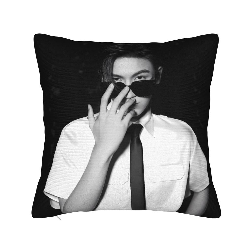 Zhang Linghe Pillowcases Kawaii Pillow Case For Living Room Sofa Custom Pillow Cover