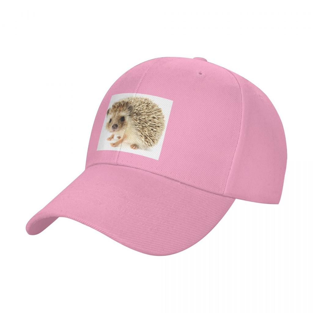 Uroczy Mały Jeż Czapka z daszkiem Ochrona przeciwsłoneczna Kapelusz plażowy Kapelusz kowbojski Męski Damski